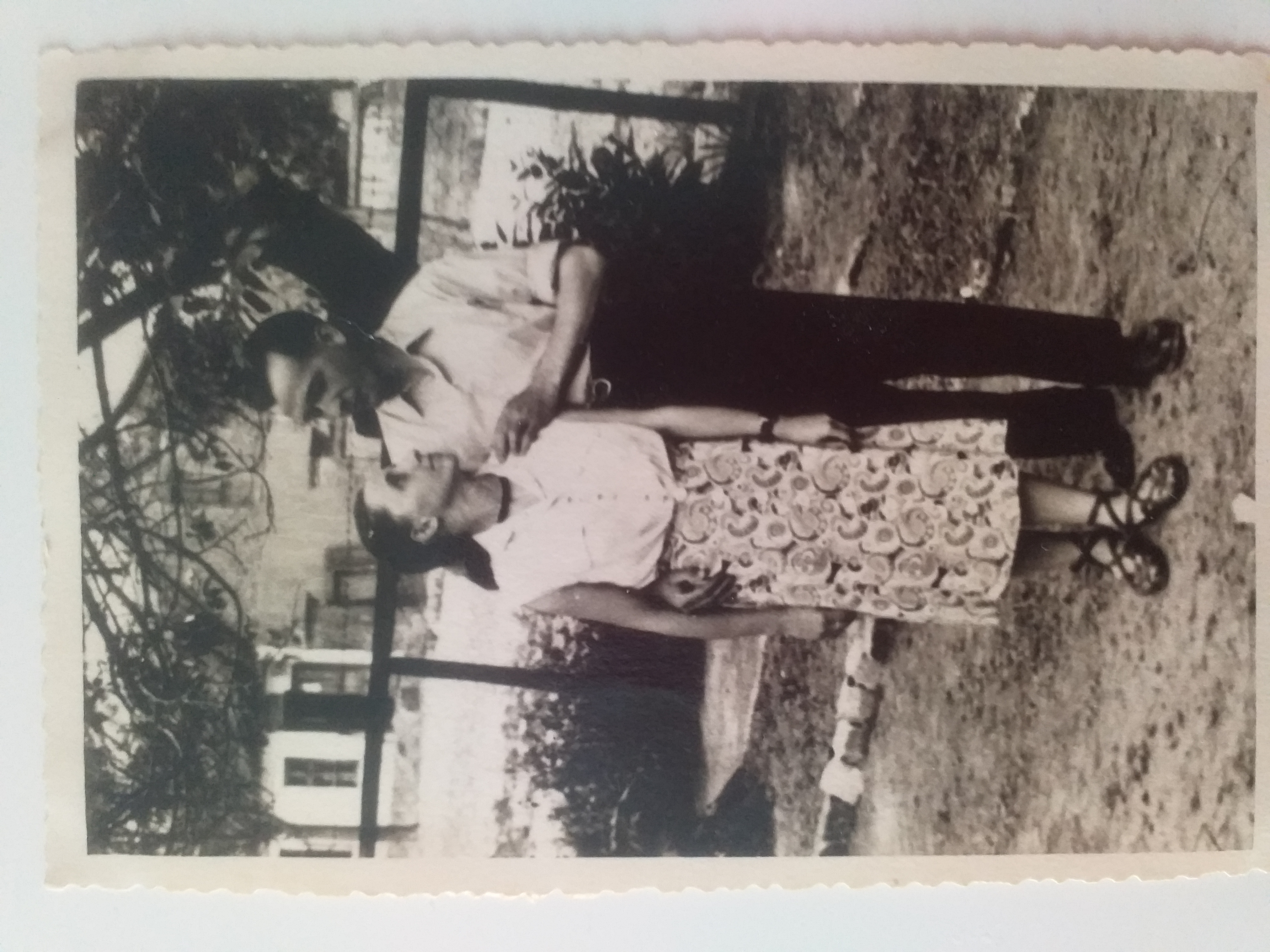 Photo from the author.