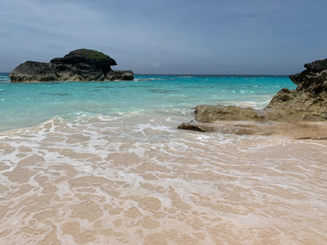 Photo courtesy of Pexels.