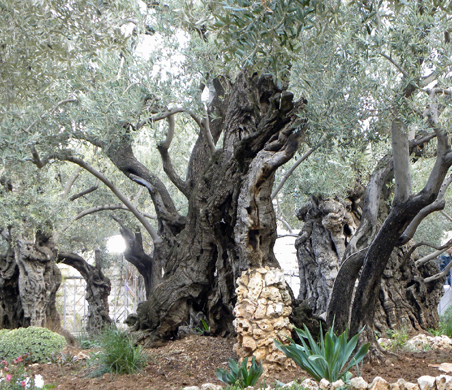 Image by Heather Truett from Pixabay
