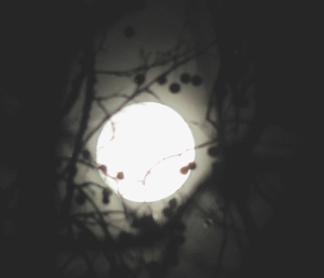 Photo of the full moon (c) 2020 by Richard Loller.