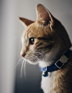 Photo by Alex Nicolopoulos on Unsplash