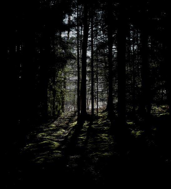 Photo by Anne Nygrd on Unsplash