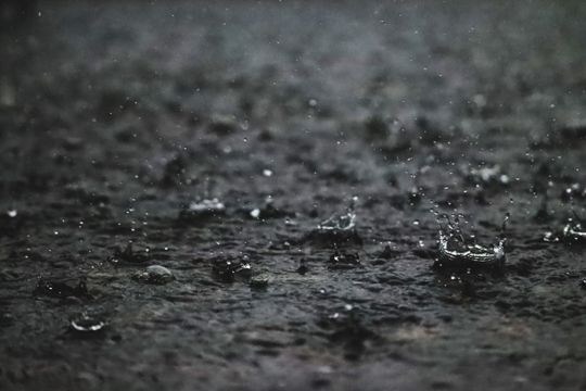 Photo by Brazil Topno at Pexels.