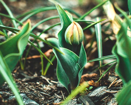 Photo by Jonathan Cooper at Pexels.